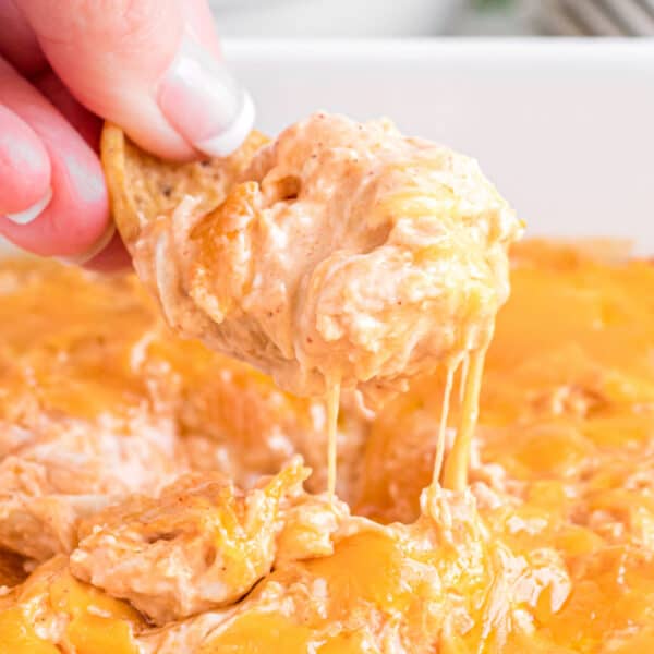 Buffalo Chicken Dip Photo